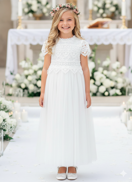 BANYA 1507 - 0104-2025